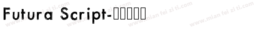 Futura Script字体转换
